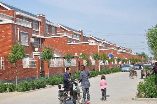 永兴马渡村新闻头条,乡村振兴新篇章，马渡村焕发新活力