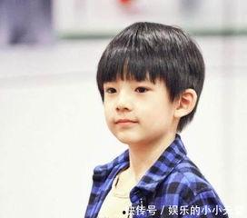 明星的帅孩子,盘点明星帅气的萌娃们