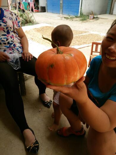 布车吃瓜,揭秘网络热词背后的文化现象