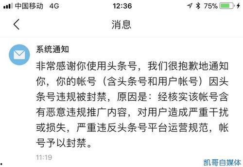 头条号怎么解除账号封禁