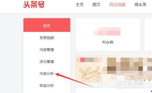 头条号视频播放器下载,一键下载，畅享精彩内容！