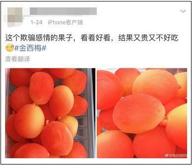 网红卖什么水果好卖呢,揭秘哪些水果最受追捧
