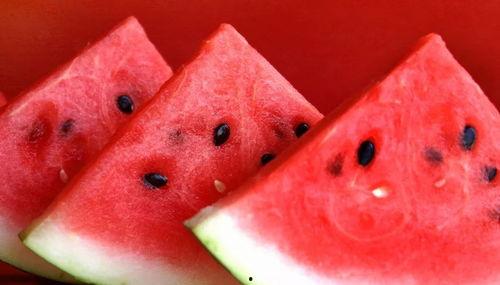 美丽的乡村西瓜头条视频,美丽田园生活画卷