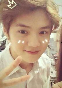 中国小鲜肉明星mv,中国小鲜肉明星MV魅力绽放