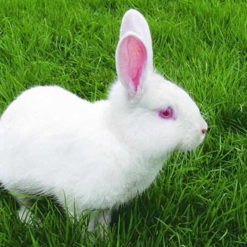 小了白了兔网红公司照片,网红公司风采瞬间