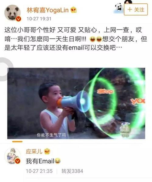 小小春的明星迷,明星家族的闪耀星途