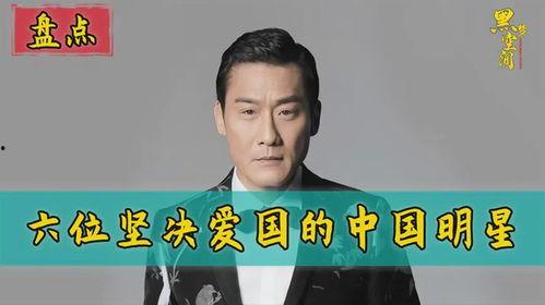 中国爱国明星,中国爱国明星风采录