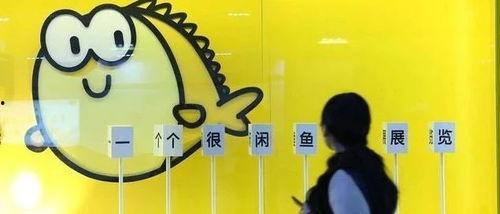 闲鱼最新爆料,揭秘平台新动态与用户福利