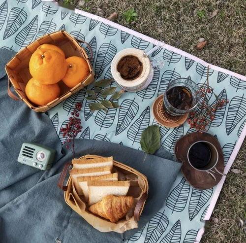 网红野餐冷饮加盟,轻松开启夏日财富新篇章