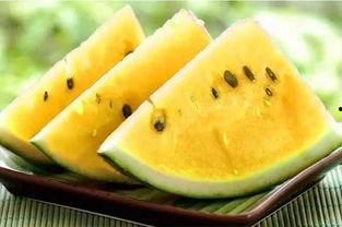 青海吃瓜各种热门事件,揭秘高原上的热门事件风云录