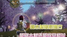 黎明觉醒泳装爆料视频大全,性感瞬间，视觉盛宴