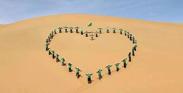 拼搏视频短片上头条,短视频成就头条爆款