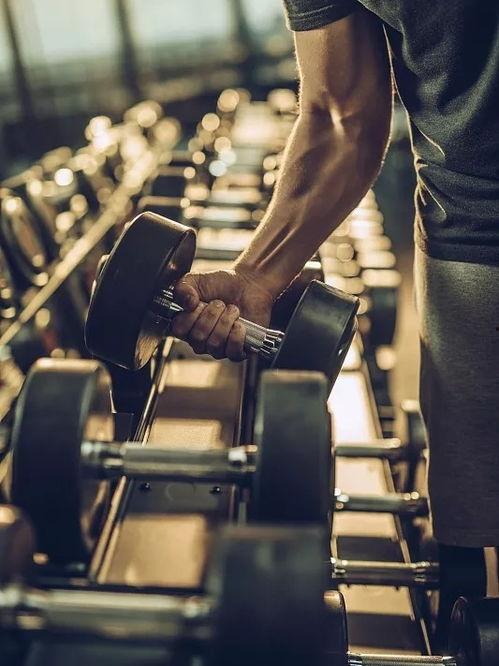 网红哑铃抱枕视频,健身新潮流，懒人健身神器大揭秘