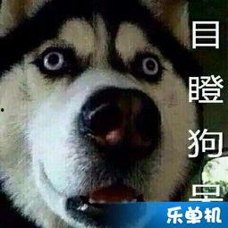 琪琪吃瓜,揭秘娱乐圈那些不为人知的幕后故事