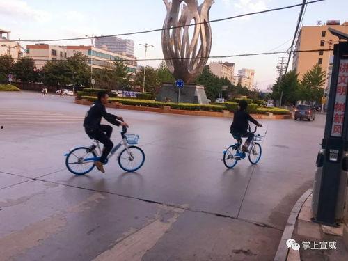 宣威市目前新闻头条,聚焦重大民生项目进展，共筑美好家园