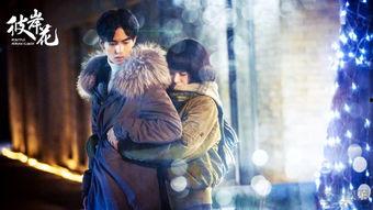 头条彼岸花小芳,揭开神秘花语背后的传奇故事