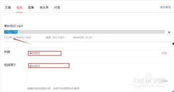 头条上传视频需要怎么做,头条视频上传，如何撰写吸引眼球的概述与副标题